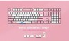 AKKO Keyboard - 3087 DS Horizon Akko Pink Switch