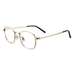 Xiaomi Blue Light Blocking Glasses (Gold) BHR8793GL