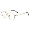 Xiaomi Blue Light Blocking Glasses (Gold) BHR8793GL