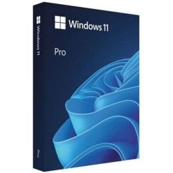 Microsoft Windows Professional 11 64-bit ESD FQC-10572