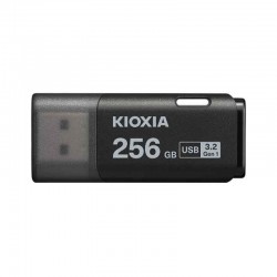 KIOXIA LU301C256GG4 TransMemory U301 USB3.2 Gen 1 - 256GB Gr