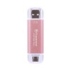 TRANSCEND TS2TESD310P  ESD310P Portable SSD, Dual USB Type-C